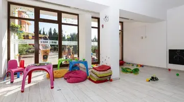 Hrizantema