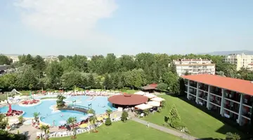 Hrizantema