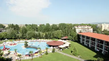 Hrizantema