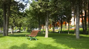 Hrizantema