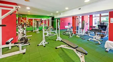 HRIZANTEMA