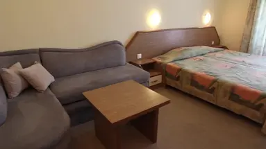 Hrizantema
