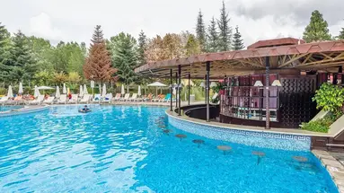 HRIZANTEMA