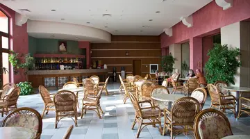 Hrizantema