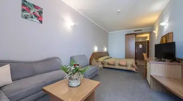 HRIZANTEMA
