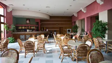 Hrizantema