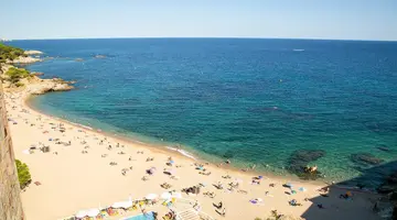 htop Caleta Palace