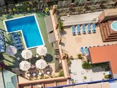 htop Palm Beach