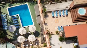 htop Palm Beach