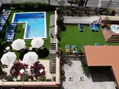 htop Palm Beach