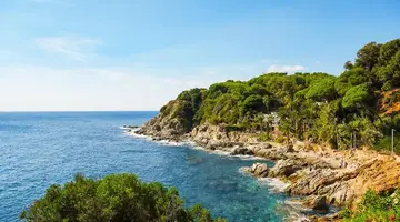 htop Palm Beach