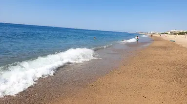 htop Planamar