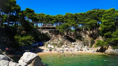 htop Platja Park