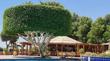 HURGHADA MARRIOTT RED SEA RESORT
