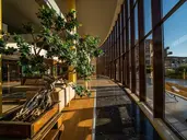 HVD CLUB HOTEL MIRAMAR