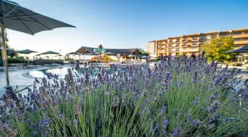 HVD Clubhotel Miramar