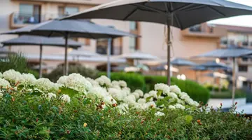 HVD Clubhotel Miramar