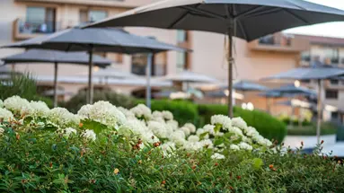 HVD Clubhotel Miramar