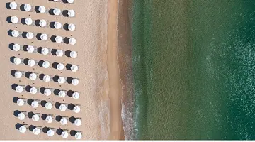 HVD REINA DEL MAR
