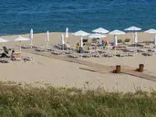HVD REINA DEL MAR
