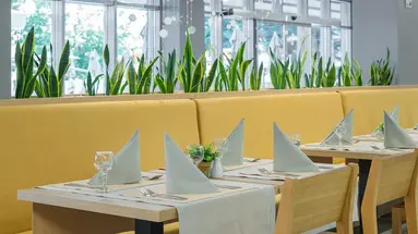 HVD Viva Club