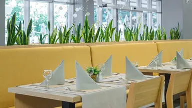 HVD Viva Club