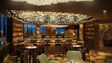 Hyatt Andaz Dubai The Palm