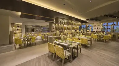 Hyatt Regency Dubai Creek Heights
