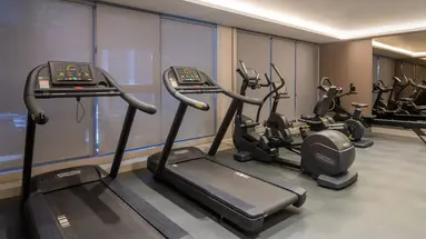 HYATT REGENCY KOTOR BAY RESORT (ex. BLUE KOTOR BAY)