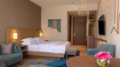 HYATT REGENCY KOTOR BAY RESORT (ex. BLUE KOTOR BAY)