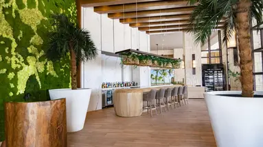 Hyatt Ziva Cap Cana