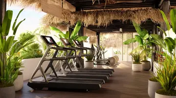Hyatt Ziva Jardin Tropical Tenerife