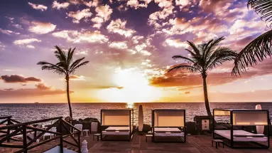 Hyatt Ziva Jardin Tropical Tenerife