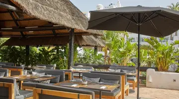 Hyatt Ziva Jardin Tropical Tenerife