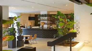 Hyatt Ziva Jardin Tropical Tenerife