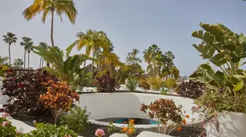 Hyatt Ziva Jardin Tropical Tenerife