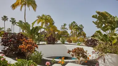 Hyatt Ziva Jardin Tropical Tenerife