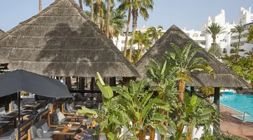 Hyatt Ziva Jardin Tropical Tenerife