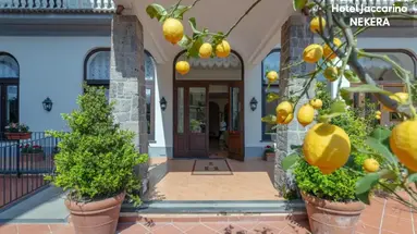 IACCARINO HOTEL
