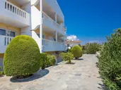 Iatridis Studios