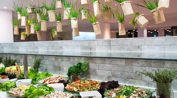 Iberostar Bellevue