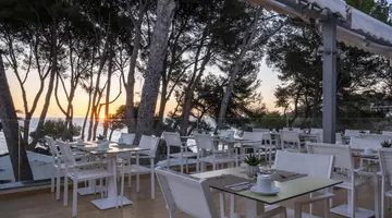 Iberostar Pinos Park