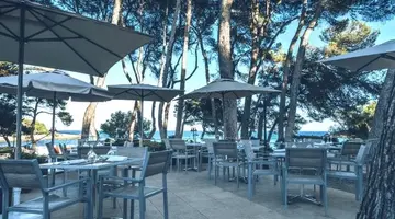 Iberostar Pinos Park