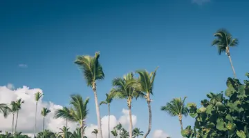 IBEROSTAR SELECTION BAVARO SUITES