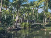 IBEROSTAR SELECTION BAVARO SUITES