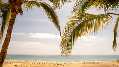 Iberostar Selection Fuerteventura Palace