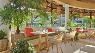 IBEROSTAR SELECTION FUERTEVENTURA PALACE