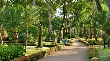 IBEROSTAR SELECTION HACIENDA DOMINICUS