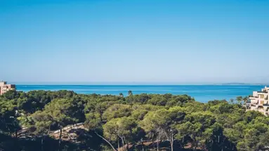 Iberostar Selection Llaut Palma - Adults