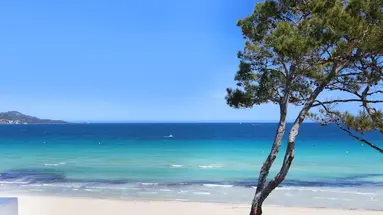 Iberostar Waves Alcudia Park